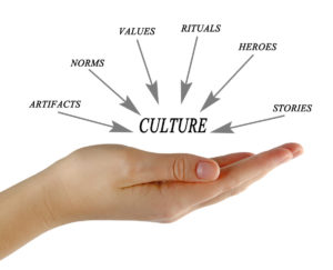 Components of culture